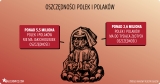 Infografika z serwisu Balcerowicz.com