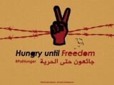Grafika solidarnościowa z hasłami "Głodówka aż do wolności" i #PalHunger
